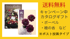 カタログギフト全国送料無料キャンペーン中